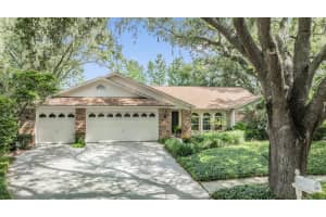 3901 BLUE MAIDENCANE PLACE, VALRICO, FL 33596 Sold 10/16/24