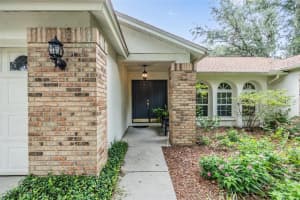 3901 BLUE MAIDENCANE PLACE, VALRICO, FL 33596 Sold 10/16/24