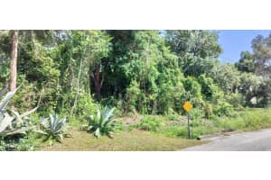 1980 TSALA TERRACE, INVERNESS, FL 34450 - MLS#MFRT3550427