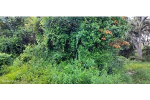 1980 TSALA TERRACE, INVERNESS, FL 34450 - MLS#MFRT3550427