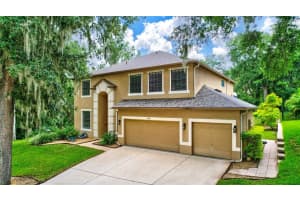 8828 ALAFIA COVE DRIVE, RIVERVIEW, FL 33569 Sold 10/21/24