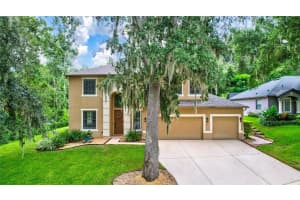 8828 ALAFIA COVE DRIVE, RIVERVIEW, FL 33569 Sold 10/21/24