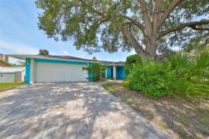 3925 DUNAIRE DRIVE, VALRICO, FL 33596 Sold 03/12/25