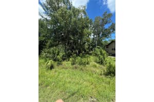 Lot 289 CUTLASS DRIVE, HUDSON, FL 34667 - MLS#MFRT3550590