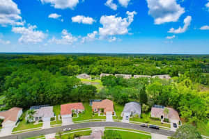11943 TEE TIME CIRCLE, NEW PORT RICHEY, FL 34654 Sold 10/31/24