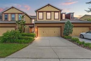 133 VILLA PRESERVE AVENUE, LUTZ, FL 33548 Sold 02/12/25