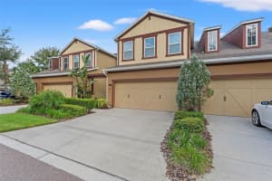 133 VILLA PRESERVE AVENUE, LUTZ, FL 33548 Sold 02/12/25