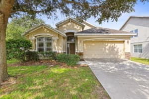 602 CHESNEY DRIVE, VALRICO, FL 33594 Sold 10/22/24