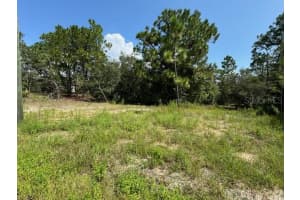 11349 ZEUS POINT, DUNNELLON, FL 34433 Sold 02/21/25