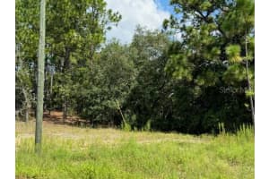 11349 ZEUS POINT, DUNNELLON, FL 34433 Sold 02/21/25