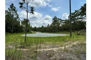 11349 ZEUS POINT, DUNNELLON, FL 34433 Sold 02/21/25