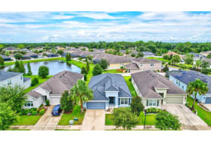 17568 BUCKINGHAM GARDEN DRIVE, LITHIA, FL 33547 Sold 10/07/24