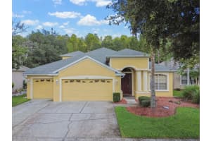 10711 PEARL BERRY LOOP, LAND O LAKES, FL 34638 Sold 12/18/24