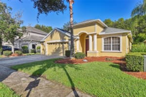 10711 PEARL BERRY LOOP, LAND O LAKES, FL 34638 Sold 12/18/24