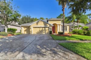 10711 PEARL BERRY LOOP, LAND O LAKES, FL 34638 Sold 12/18/24