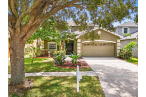 11135 CREEK HAVEN DRIVE, RIVERVIEW, FL 33569 Sold 01/17/25