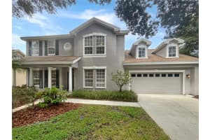 18122 Sugar Brooke Dr, TAMPA
