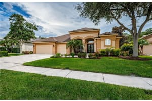 4634 AYRON TERRACE, PALM HARBOR, FL 34685 Sold 10/15/24