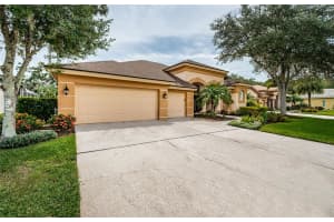4634 AYRON TERRACE, PALM HARBOR, FL 34685 Sold 10/15/24
