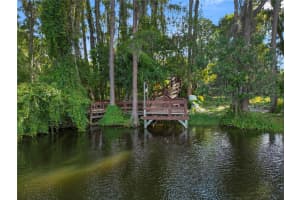 1316 FUSSELL HOLLOW ROAD, ODESSA, FL 33556 Sold 11/08/24