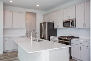 10288 SURREY ROSE DRIVE, SAN ANTONIO, FL 33576 Sold 06/23/25