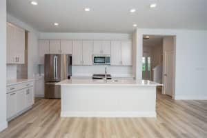 10288 SURREY ROSE DRIVE, SAN ANTONIO, FL 33576 Sold 06/23/25