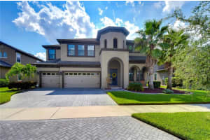 32440 GODDARD DRIVE, WESLEY CHAPEL, FL 33543 Sold 12/22/24