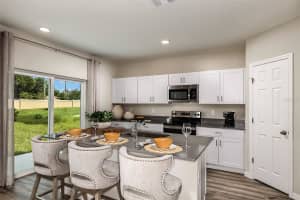 7805 PEACE LILY AVENUE, WESLEY CHAPEL, FL 33545 Sold 11/22/24