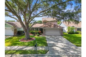 4953 CYPRESS TRACE DRIVE, TAMPA, FL 33624 Sold 09/26/24