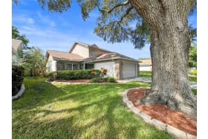 4953 CYPRESS TRACE DRIVE, TAMPA, FL 33624 Sold 09/26/24