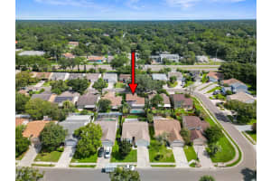 4953 CYPRESS TRACE DRIVE, TAMPA, FL 33624 Sold 09/26/24
