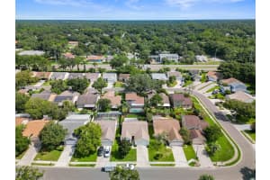 4953 CYPRESS TRACE DRIVE, TAMPA, FL 33624 Sold 09/26/24