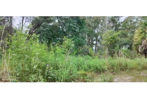 96 SHELTERING OAKS DRIVE, INVERNESS, FL 34453 - MLS#MFRT3551083