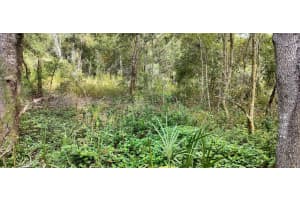 96 SHELTERING OAKS DRIVE, INVERNESS, FL 34453 - MLS#MFRT3551083