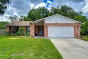 11416 COUNTRY OAKS DRIVE, TAMPA, FL 33618 Sold 11/08/24