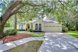 1602 LORIANA STREET, BRANDON, FL 33511 Sold 10/17/24
