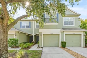 2704 CONCH HOLLOW DRIVE, BRANDON, FL 33511 Sold 11/26/24