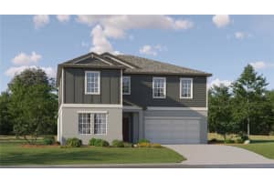 13242 PEACHLEAF AVENUE, RIVERVIEW, FL 33579 Sold 10/01/24