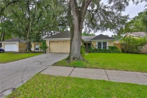 4516 CABBAGE PALM DRIVE, VALRICO, FL 33596 Sold 10/28/24
