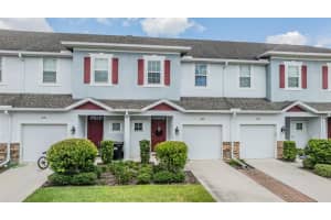 1066 AMBER LEAF TRAIL, WESLEY CHAPEL, FL 33544 Sold 10/16/24