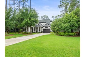 19310 SHORTLEAF PINE LANE, ODESSA, FL 33556 Sold 11/04/24