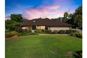 4610 DUXBERRY LANE, VALRICO, FL 33594 Sold 03/11/25