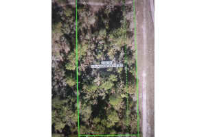SUNSHINE GROVE RD, BROOKSVILLE, FL 34614 - MLS#MFRT3551250