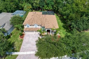 17351 EMERALD CHASE DRIVE, TAMPA, FL 33647 Sold 01/23/25