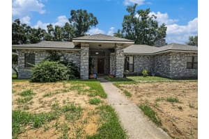 2619 DURANT WOODS STREET, VALRICO, FL 33596 Sold 02/24/25