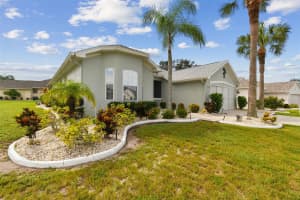 1119 VILLEROY DRIVE, SUN CITY CENTER, FL 33573 - MLS#MFRT3551435
