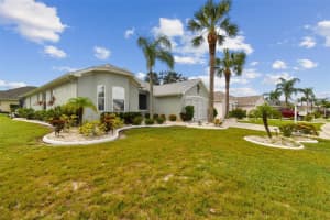 1119 VILLEROY DRIVE, SUN CITY CENTER, FL 33573 - MLS#MFRT3551435