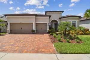 19314 SHIP WHEEL WAY, LAND O LAKES, FL 34638 Sold 11/07/24