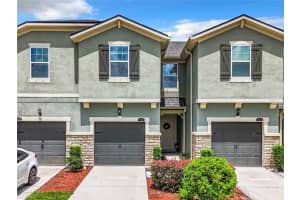 11650 CAMBIUM CROWN DRIVE, RIVERVIEW, FL 33569 Sold 05/09/25