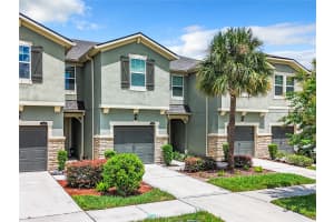 11650 CAMBIUM CROWN DRIVE, RIVERVIEW, FL 33569 Sold 05/09/25
